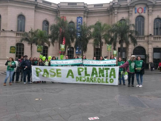 bandera desarrollo social nacion patio olmos